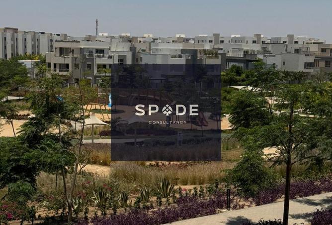 8224207 - صورة العقار 3