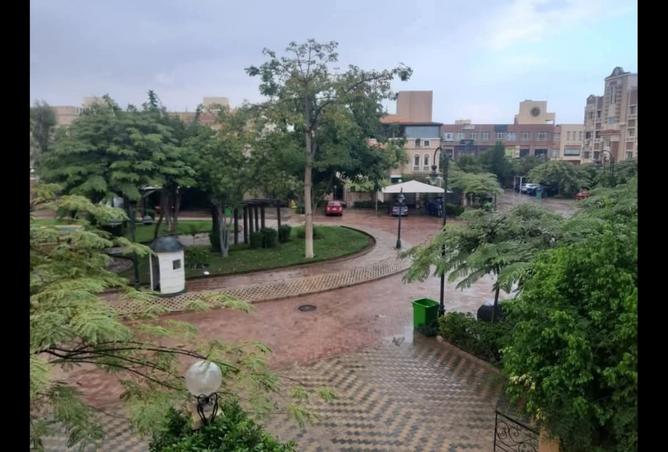 8054923 - صورة العقار 2
