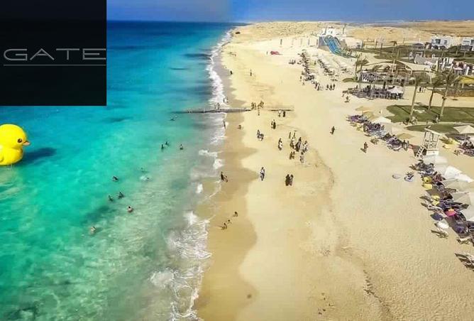 7920398 - صورة العقار 3