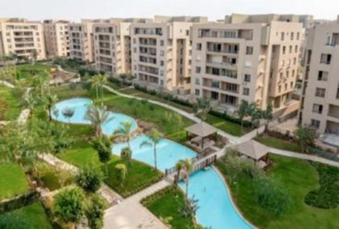 8129251 - Property Image 3