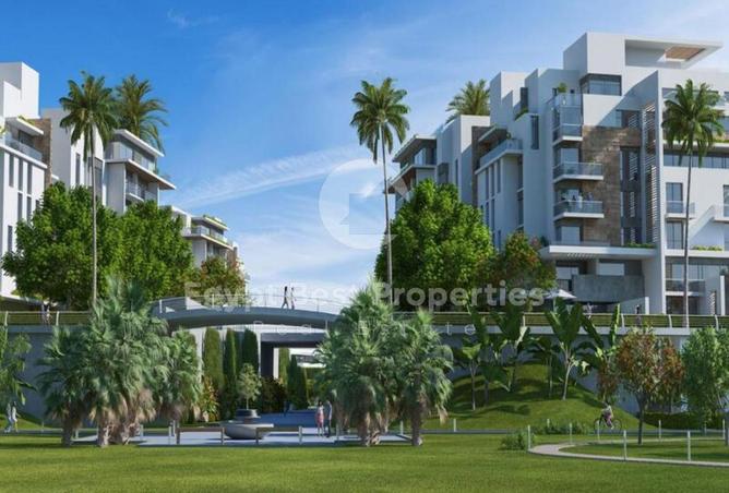 8438978 - Property Image 3