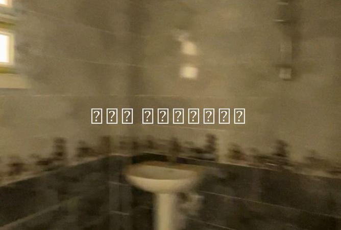 8532431 - Property Image 3