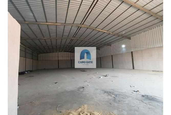 8224176 - Property Image 3