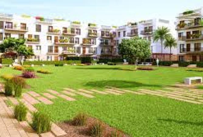 8172704 - صورة العقار 3