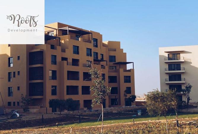 8174147 - Property Image 3