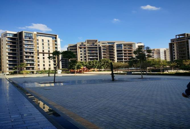 8240396 - Property Image 2