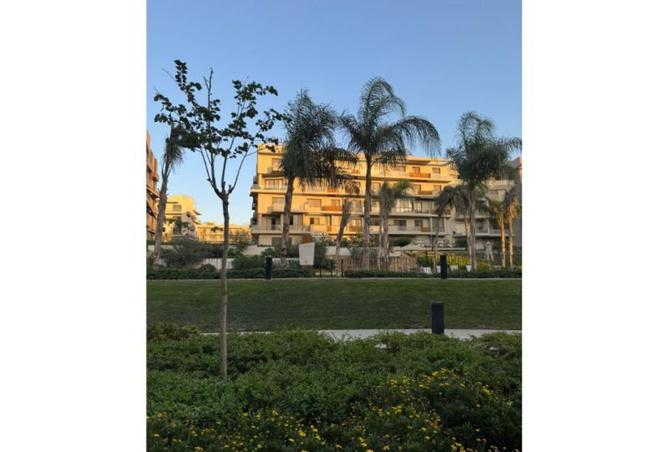 8253431 - صورة العقار 3