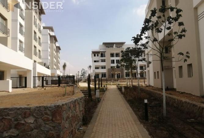 8067788 - Property Image 3