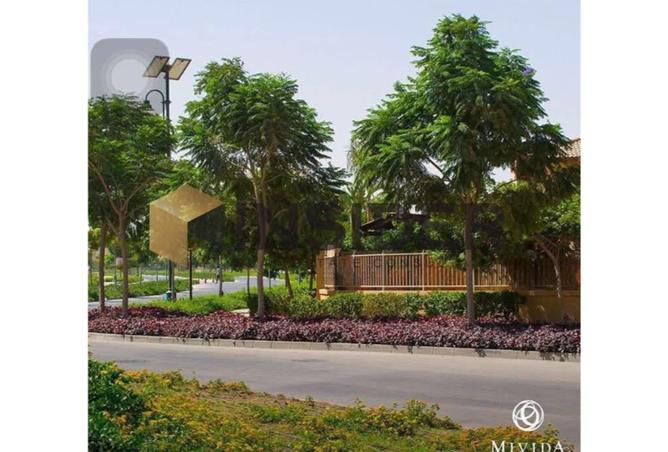 8456091 - Property Image 3