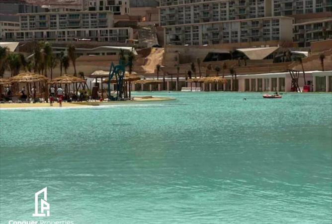 8542995 - Property Image 3