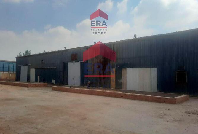 8069357 - صورة العقار 3