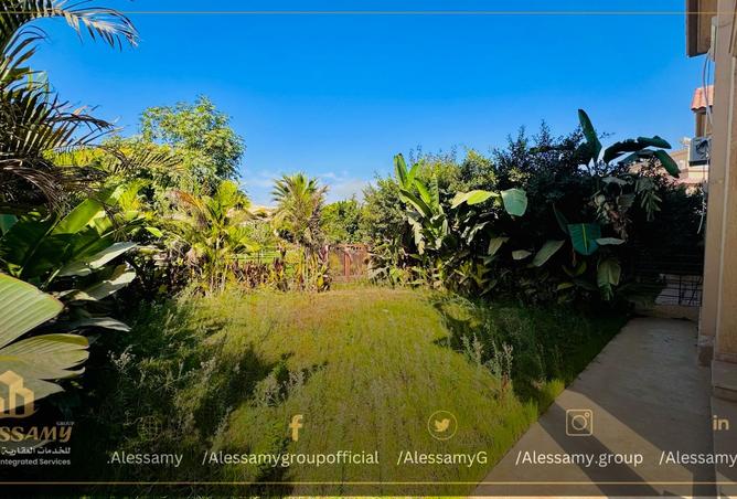 8317299 - صورة العقار 3