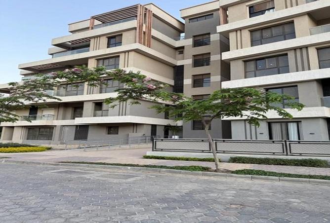 7998185 - صورة العقار 3