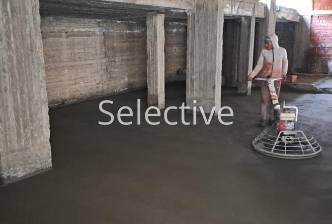 8058730 - Property Image 3