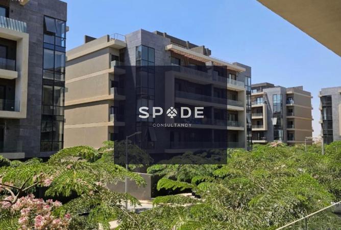 8285907 - Property Image 3