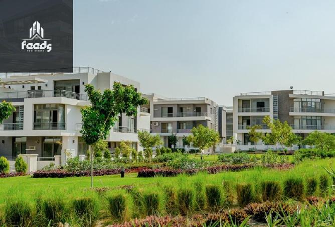 8393956 - صورة العقار 3