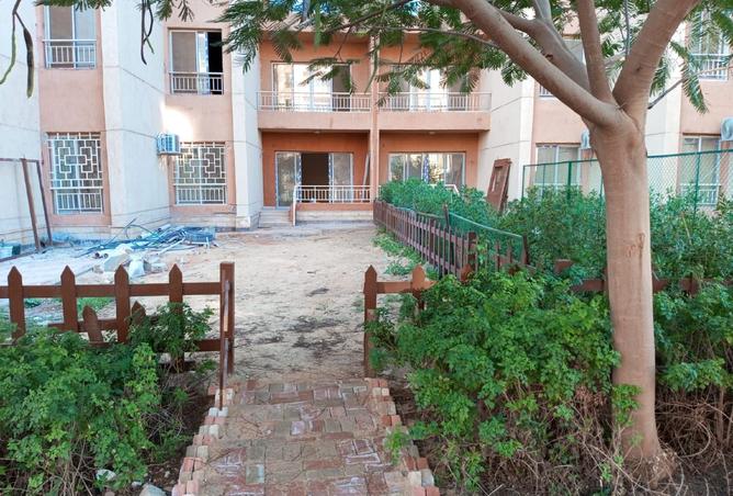 8413431 - Property Image 3