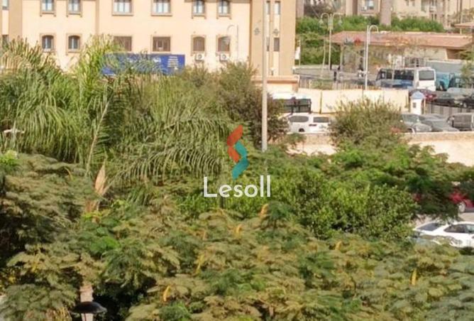 8417844 - Property Image 2