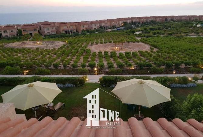 8440331 - Property Image 2