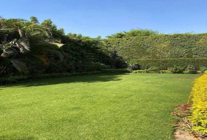 7969912 - الصورة الرئيسية للعقار