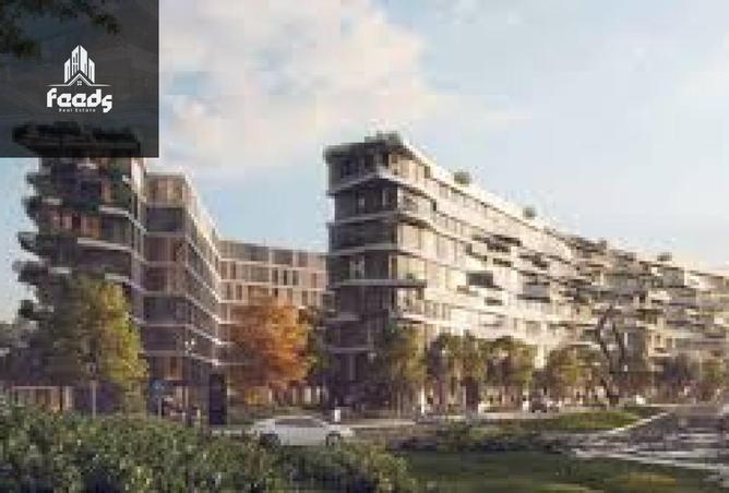 8081697 - Property Image 3