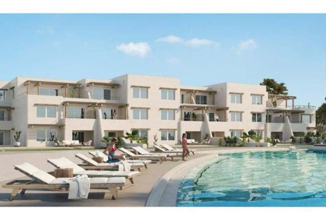 8248188 - Property Image 2