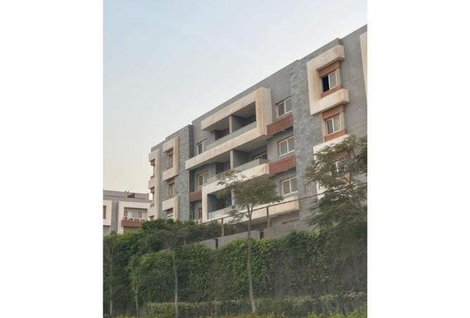 8269088 - Property Image 3