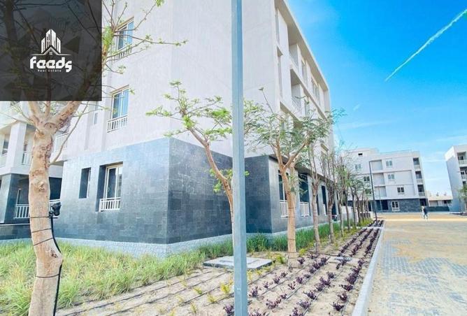 8254470 - Property Image 2