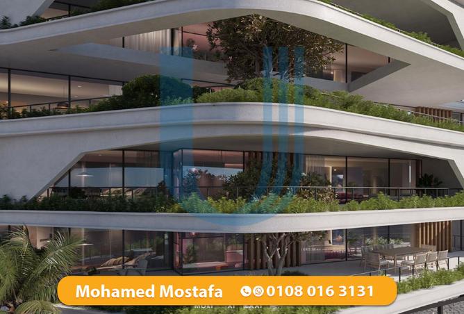 8156036 - Property Image 3
