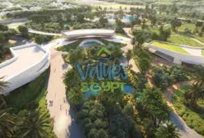 7906912 - Property Image 3