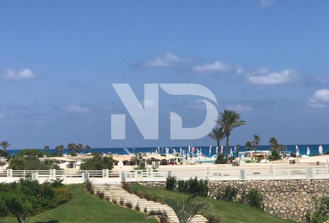 7688147 - صورة العقار 3