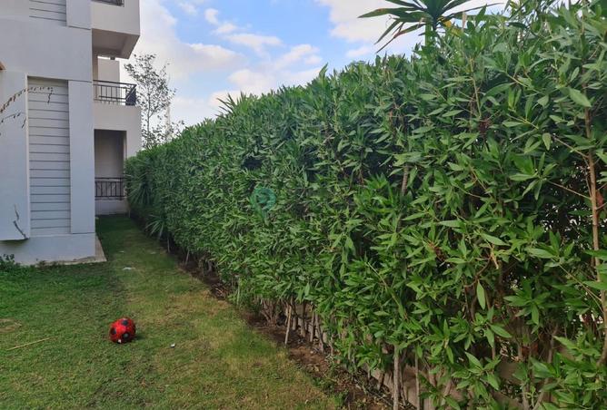 8368480 - Property Image 2