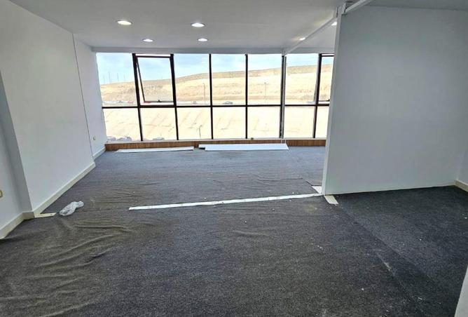 8536667 - Property Image 3