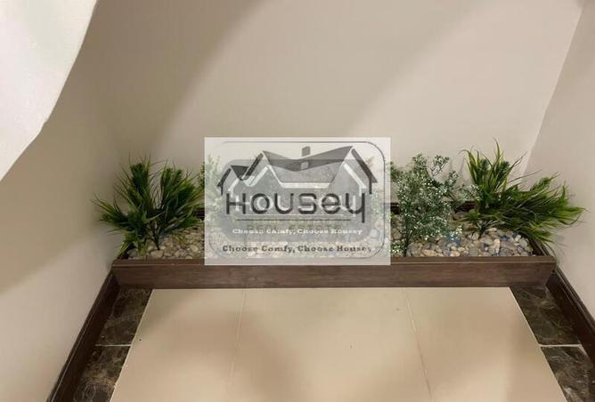 8523129 - Property Image 3