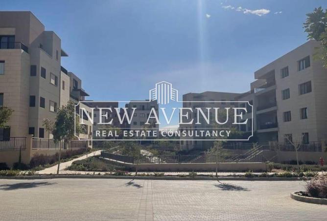 8462235 - صورة العقار 3