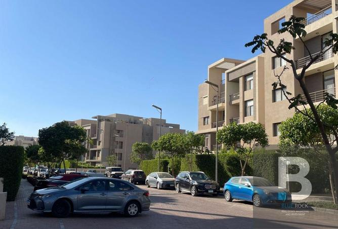7921446 - Property Image 3