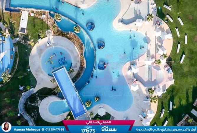 8335841 - صورة العقار 3