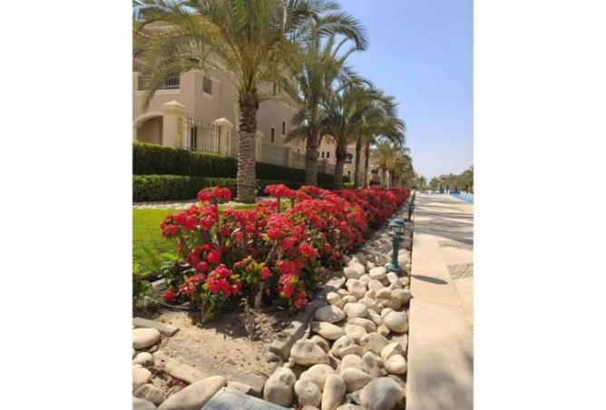7897136 - صورة العقار 3