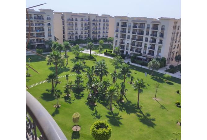 8391825 - Property Image 2