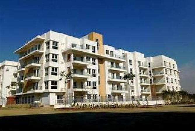 7926472 - صورة العقار 2