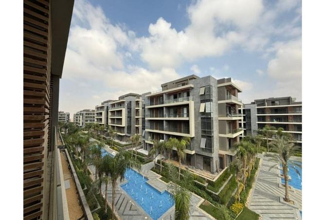 8281992 - Property Image 3