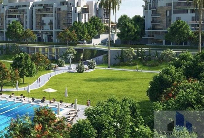 8238328 - Property Image 3