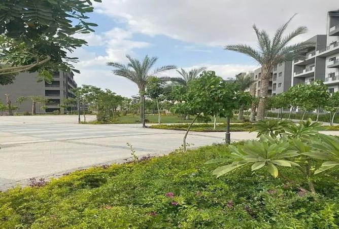 8127240 - Property Image 2