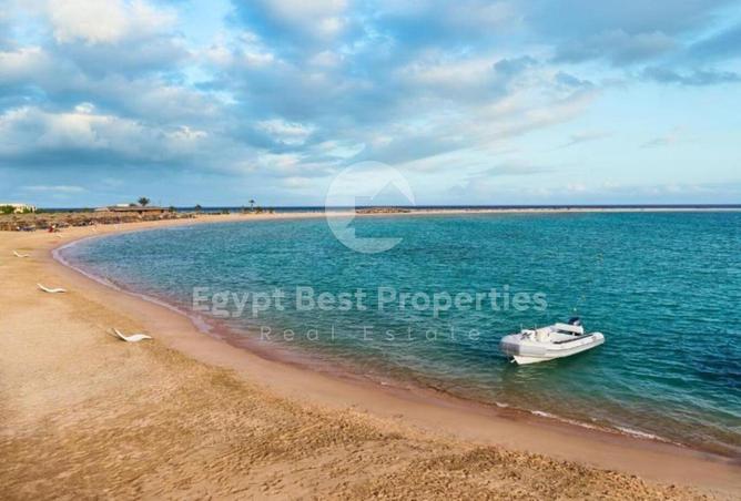 7999808 - Property Image 3