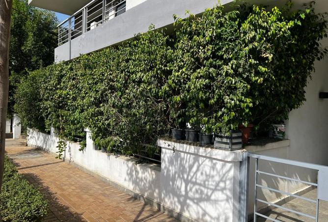 8287390 - Property Image 2