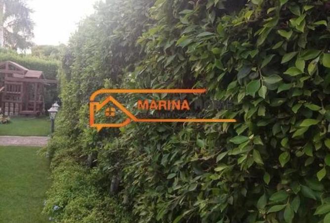 7936695 - Property Image 2