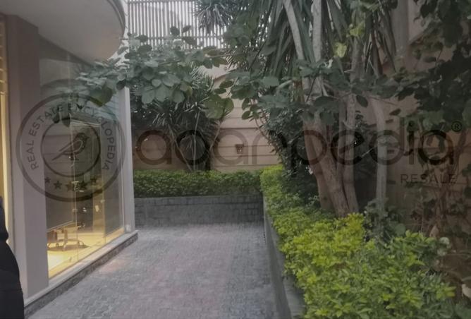 8297720 - Property Image 2