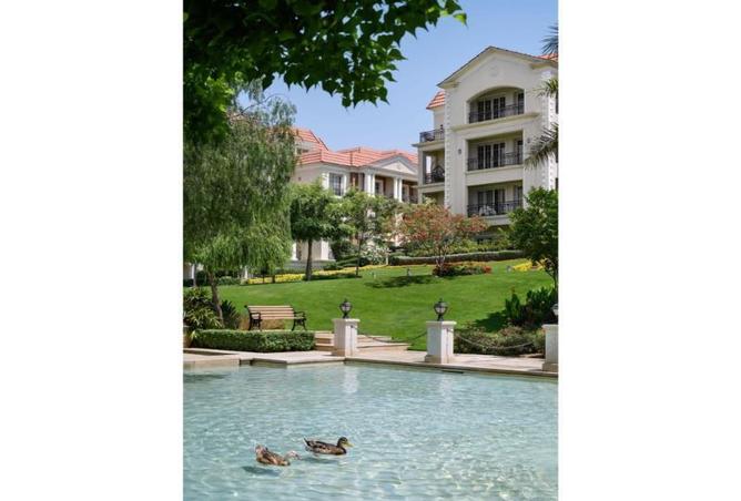 8283728 - Property Image 3