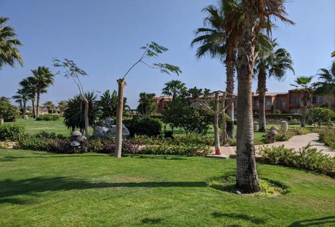 7989062 - صورة العقار 2