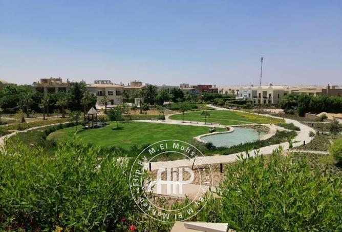 8301391 - صورة العقار 3